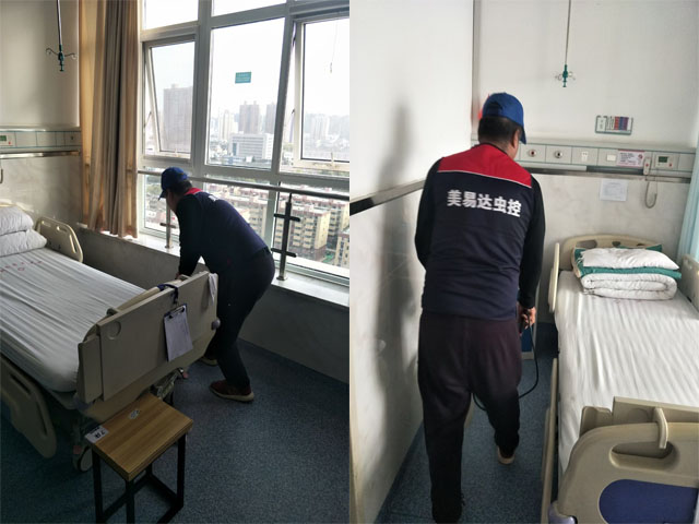 医院灭四害