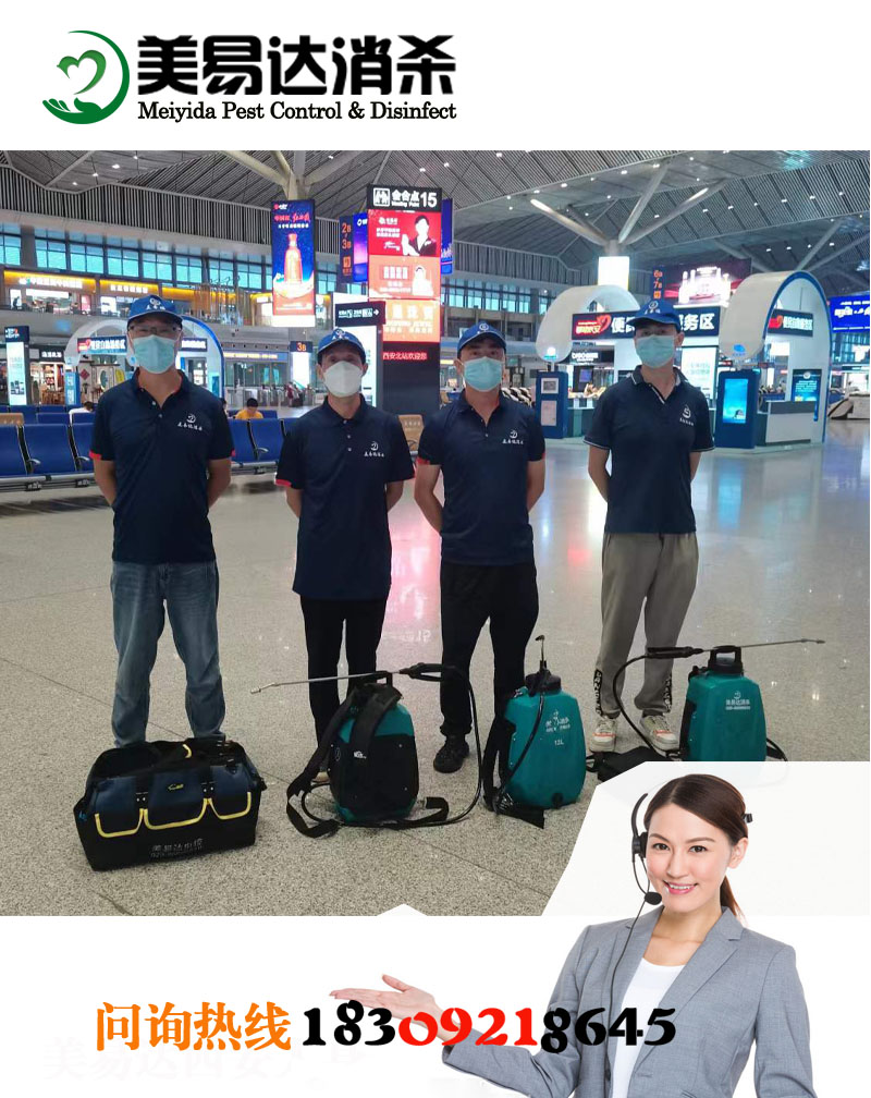 看西安专业的消杀公司如何去除蟑螂的侵害危机